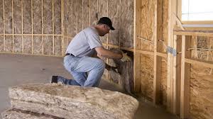 Best Crawl Space Insulation  in Cerro Gordo, IL